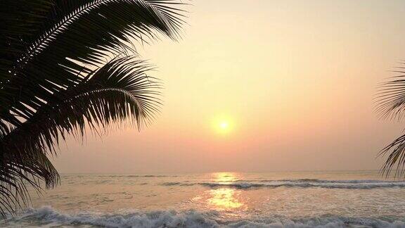 棕榈树与天空在日落或日出时间