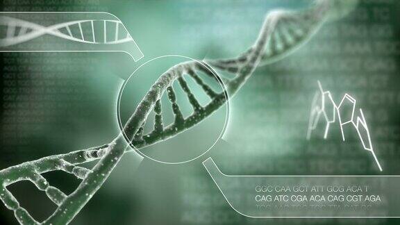 旋转的DNA链