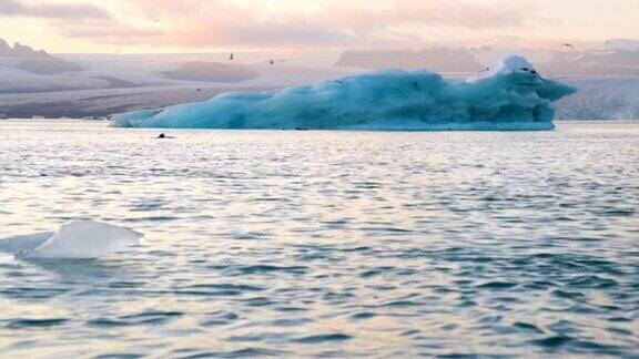 冰山和海豹漂浮在冰礁湖冰岛冰川礁湖