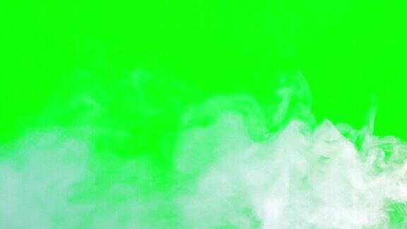 白烟流动在绿色屏幕色度键背景