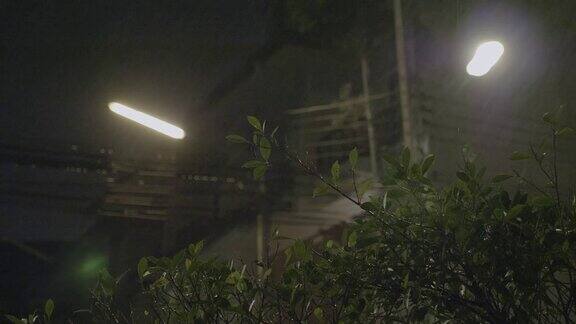 夜间热带暴雨
