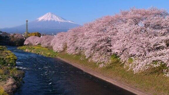 日本的风景有富士山和樱花