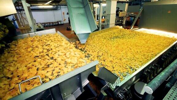 在一个食品生产设施的大传送带上装满了薯片