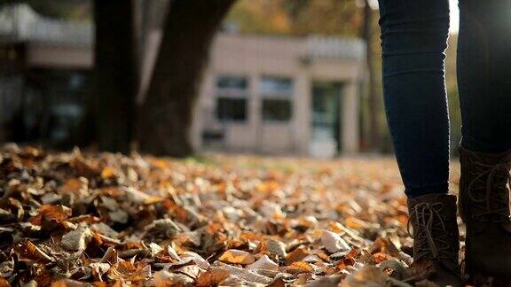 女人的靴子走在秋天的树叶上