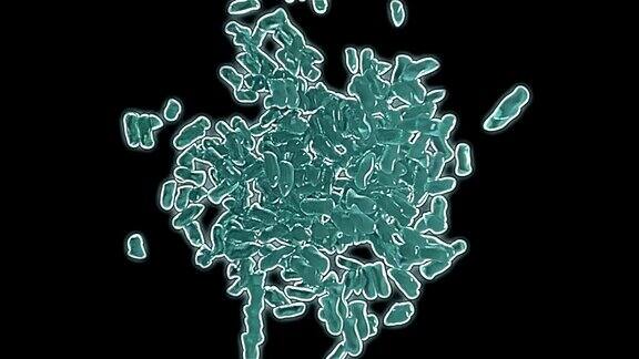 细菌克隆3d动画