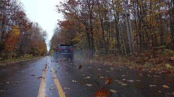 一辆黑色SUV行驶在潮湿空旷的秋叶街道上
