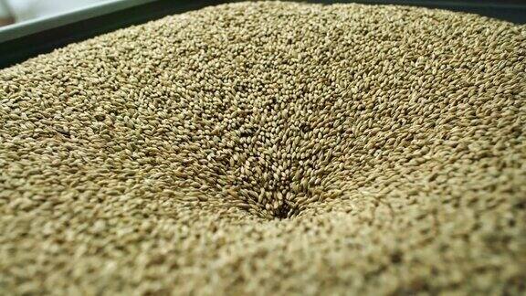 研磨麦芽用于啤酒酿造