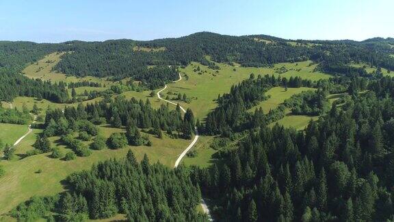 图片:在阳光明媚的斯洛文尼亚一条乡间小路穿过田园诗般的森林山丘