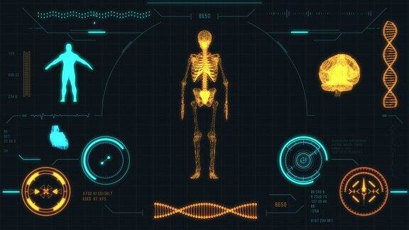 人类骨骼扫描未来的医疗用户界面与HUD和信息图表元素