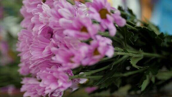 花店用新鲜的紫色菊花做花束