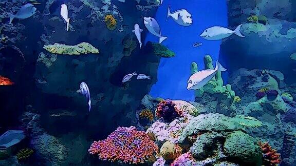 水族馆生活与彩色的鱼在卡通形式
