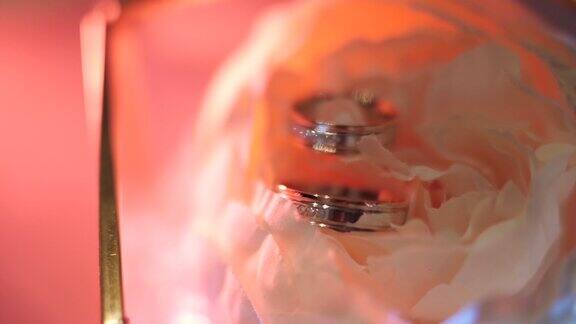 婚礼戒指在花的镜头