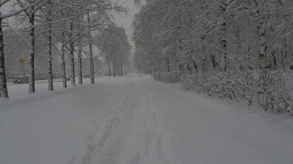 降雪