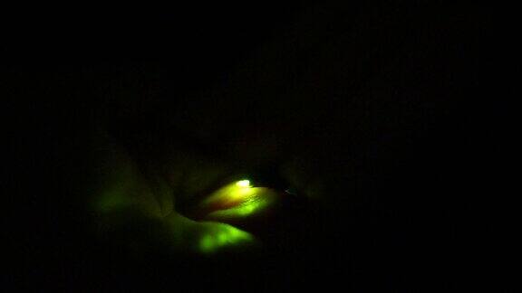 萤火虫在黑暗中飞翔的视频