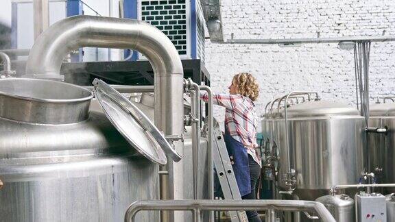 女性手工酿酒师在梯子上检查啤酒