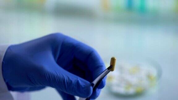 实验室工作人员检查药片制药工业补充剂