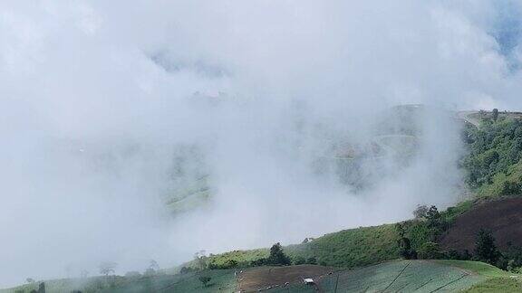 以山和雾为背景的乡村景色