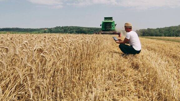 农民用数码平板在阳光明媚的麦田里慢镜头