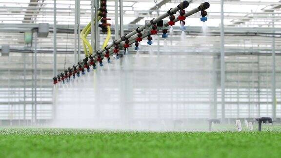 温室灌溉系统用于工业Spbd生产