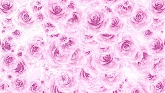 许多粉红的玫瑰花蕾落下环抱背景