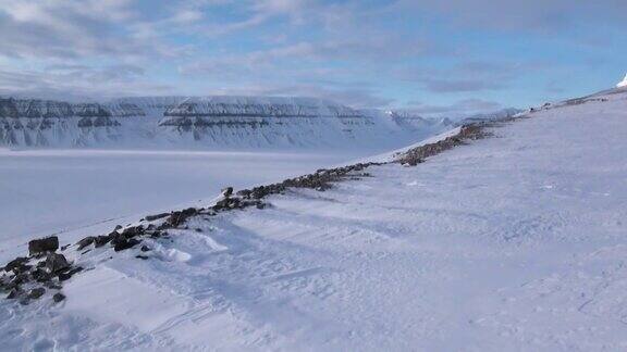 令人惊叹的北极冰漠景观
