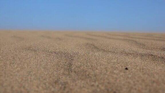 沙漠沙丘表面的平行沙型线