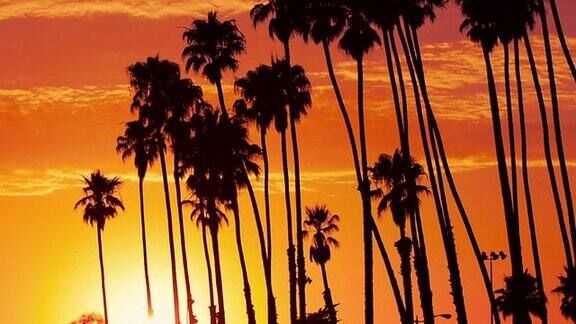 日落时分的加州棕榈泉