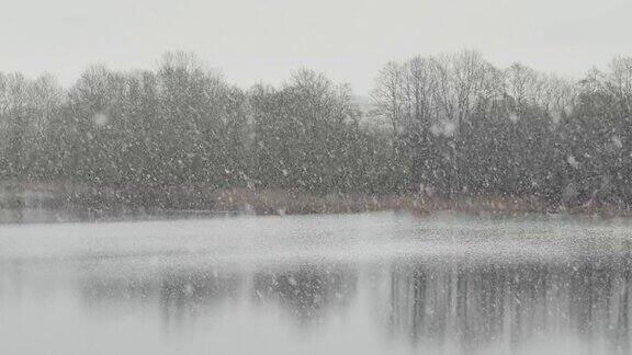 湖前大雪纷飞