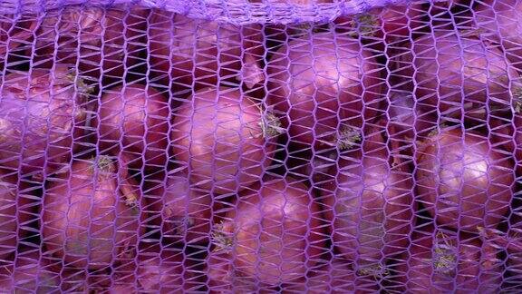 紫洋葱在网中收获