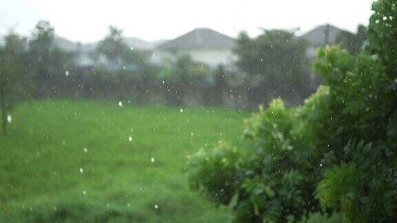 雨点落在小区里