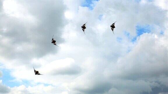 运动风筝在天空中翱翔