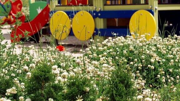 舒适的幼儿园大操场上有鲜花和绿色植物