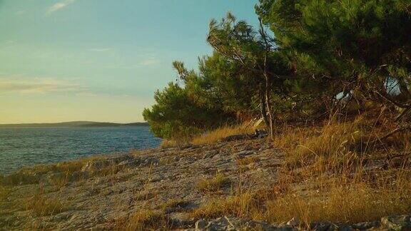 风景拍摄克罗地亚岩石海岸与松树和岛屿的背景
