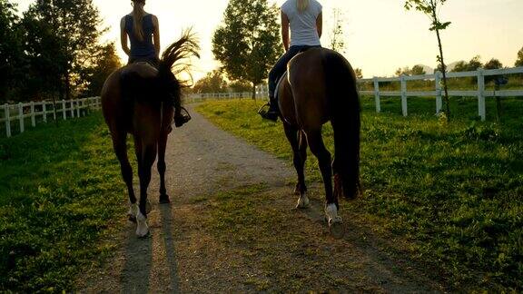 慢镜头:两个金发女孩骑着棕色的马进入夕阳