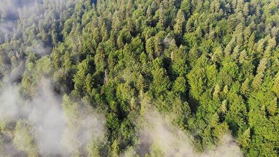 飞过群山