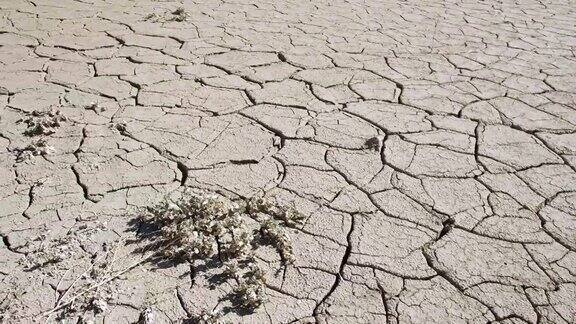 干燥的沙漠景观泥土上有裂缝
