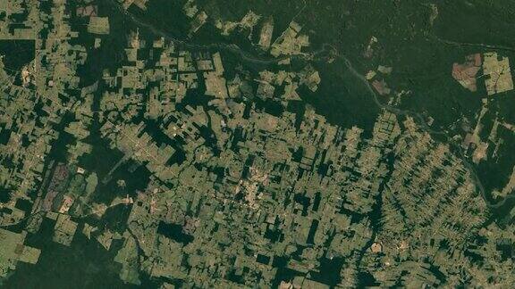 巴西的长时间森林砍伐