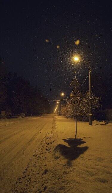冬夜公园在下雪从灯柱上照明缓慢的运动垂直视频