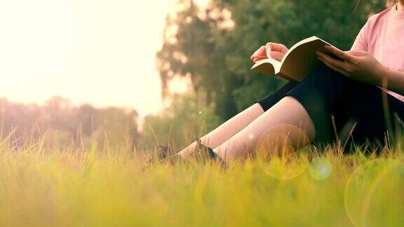 妇女们坐在草地上看书