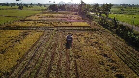 收割机在泰国稻田工作鸟瞰图