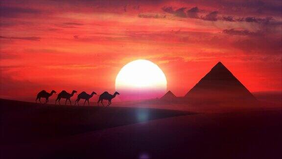 骆驼火车在夕阳中穿越沙漠高清