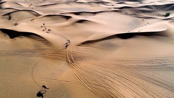 鸟瞰图的骆驼一起漫步在沙漠景观阿联酋