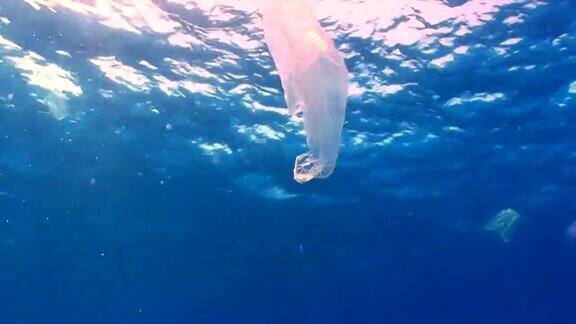 漂浮在海洋中的塑料袋