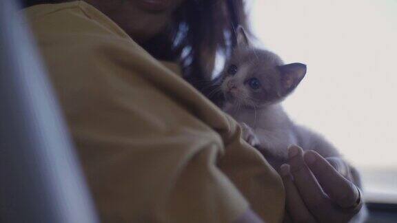 年轻女子抱着小被收养的小猫