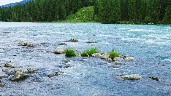 新疆流动的河流和森林