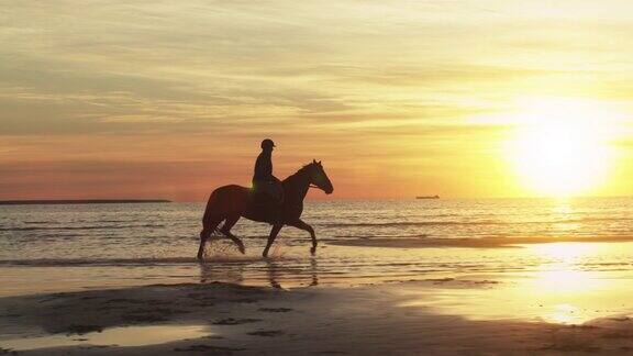 在日落的光在海滩上骑马的剪影缓慢的运动