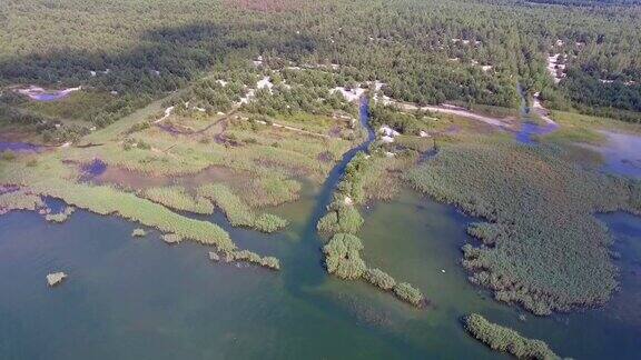 夏天的时候湖泊和绿色的森林沙滩和水中的倒影波兰的风景从以上观点