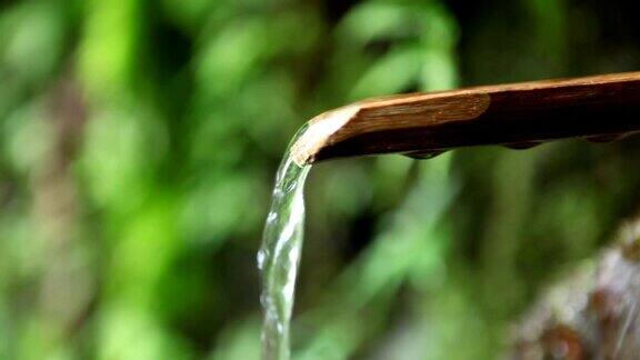 可饮用的山泉水从竹管中流出