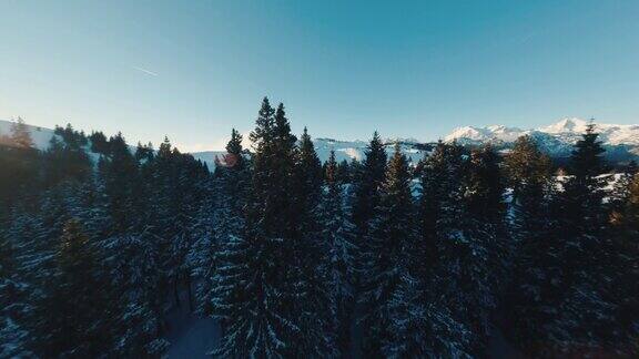 日落时分的雪山森林