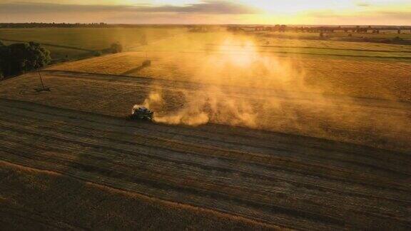 日落时分阳光下的联合收割机在金色的田野上收割小麦鸟瞰图